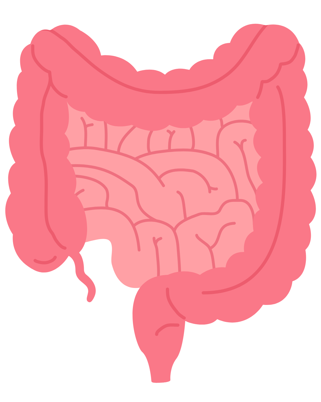 <p><strong>Gut Healing</strong></p>